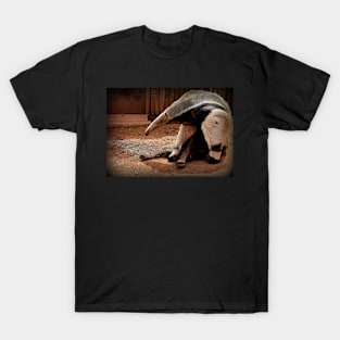 Giant Anteater T-Shirt